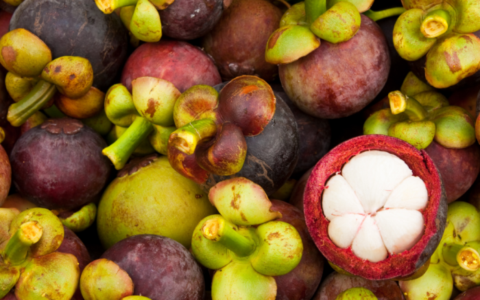 Mangosteen consume swathi handoo