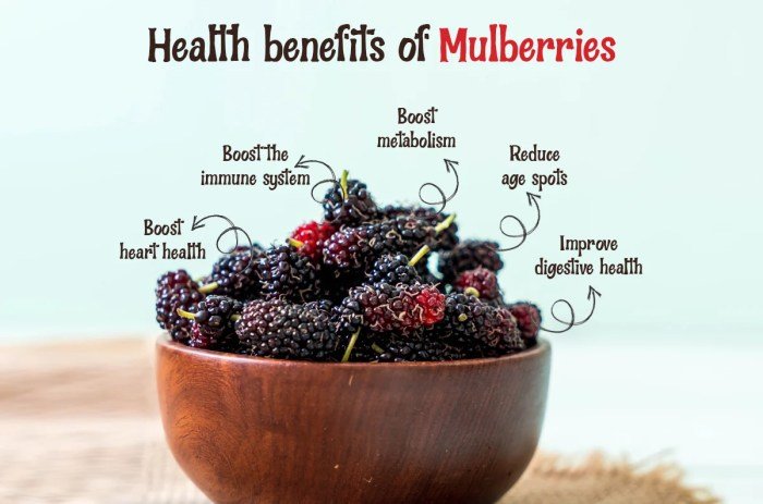 Mulberries