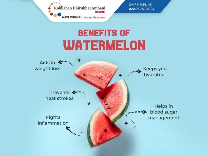 Melon minerals vitamins