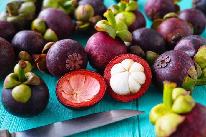 Mangosteen benefits fruit tropical