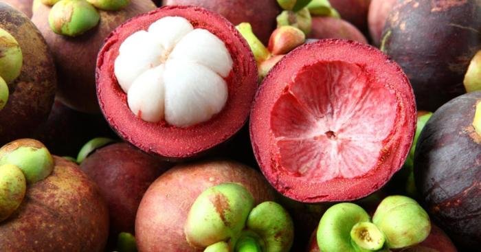 Mangosteen facts benefits health name quick scientific healthbenefitstimes