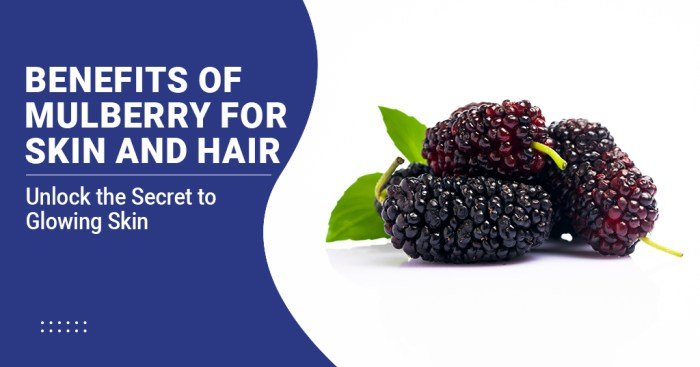 Benefits mulberries health skin