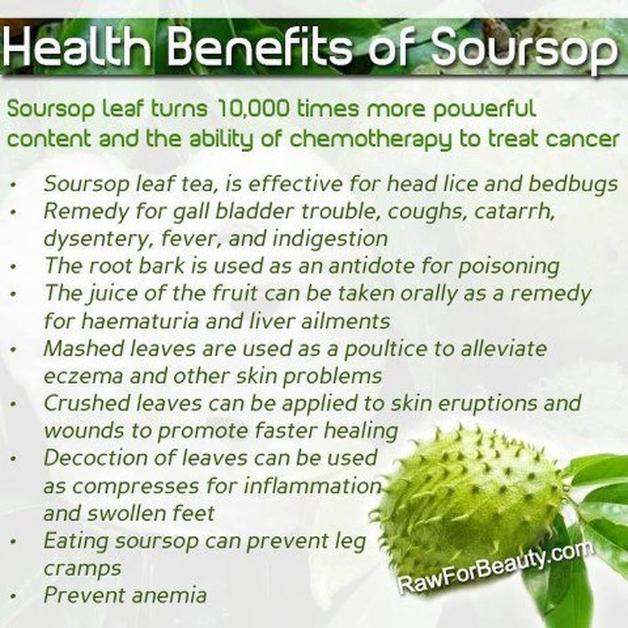 Soursop leaves health benefits amzn saved remedies