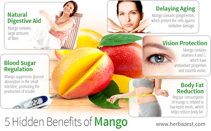 Mango nutrition herbazest facts benefits health vitamin fruit fruits which nutritional mangoes value chart nutrient healthy medicinal properties diet tweet