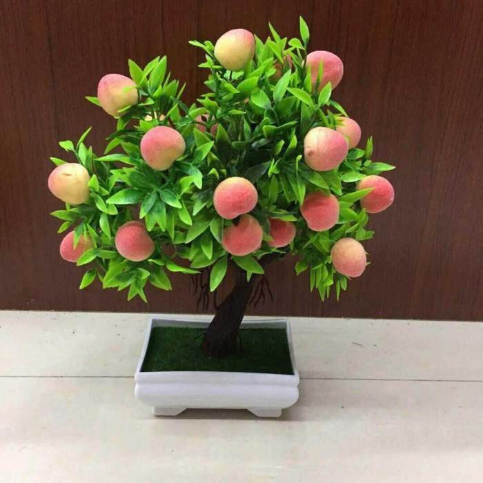 Tree peach jade 8p bonsai