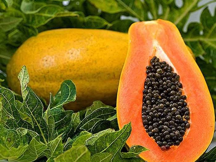 Papaya fruit benefits health