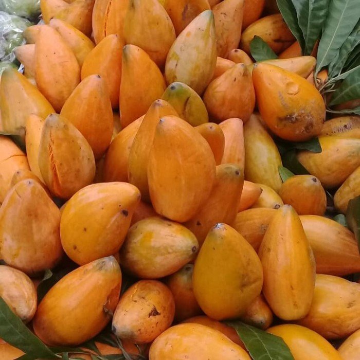 Buah alkesah