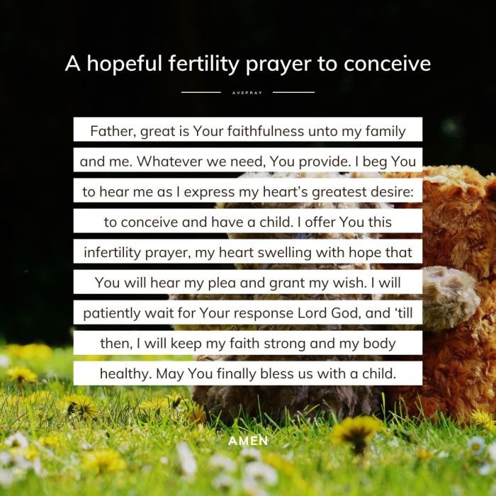 Womb fertility pregnancy conceive infertility pray dear miracle heavenly