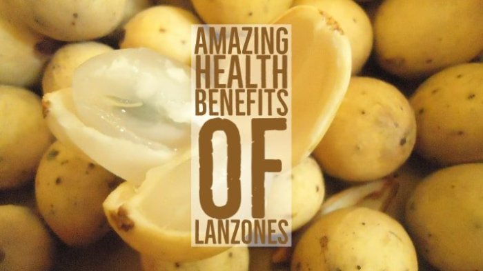 Lanzones fruit philippines benefits fruits health seeds thelongestwayhome philippine lansones filipino powerful food langsat world bunch exotic ph rarest know