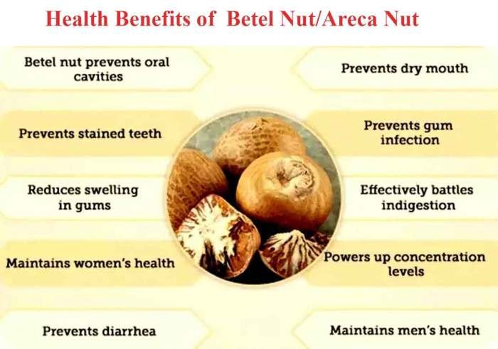 Betel nuts benefits facts areca quick