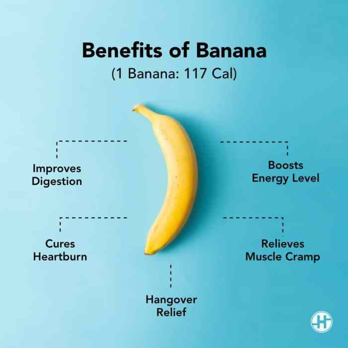 Bananas banana infographic