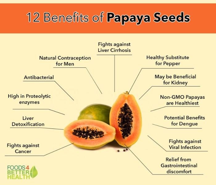 Papaya benefits health infographics fruit fruits power