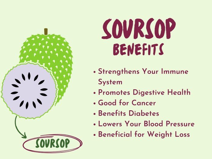 Benefits soursop guanabana health fruit article cholesterol