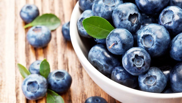 Blueberries pregnancy safe momjunction blueberry