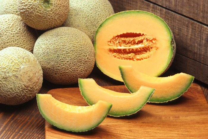 Cantaloupes file cantaloupe melon fruit wikipedia melons muskmelon canteloupe fruits melones plant sweet juicy