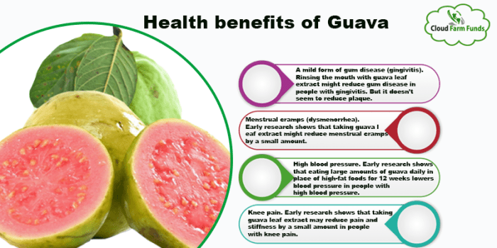 Guava benefits health fruit eating leaves tree tipsforher vitamin diet recipes tips healthy beauty guavas sources should why them visit