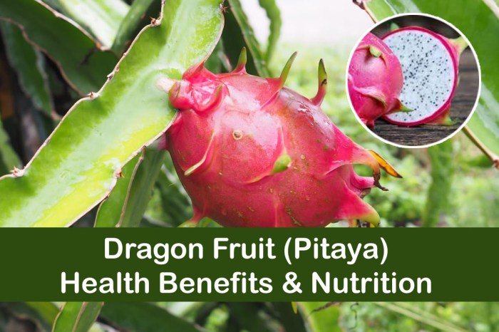 Dragon fruit benefits