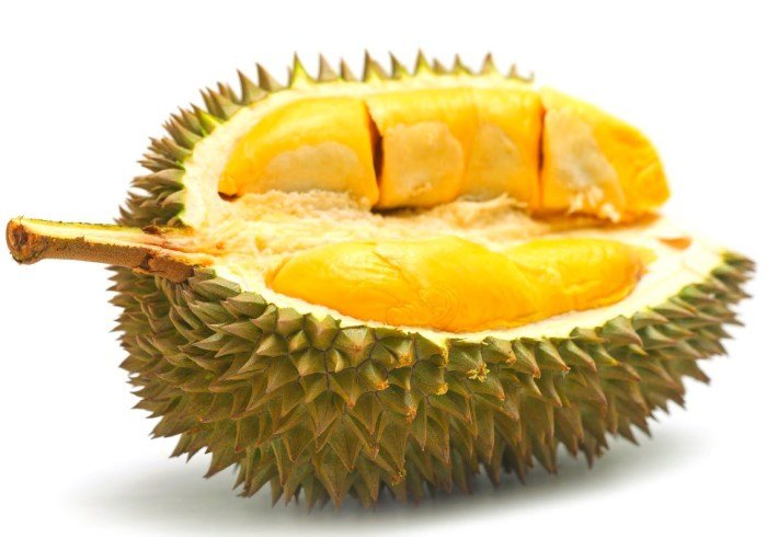 Durian mirip berkenalan endemik yang pohon kandungan