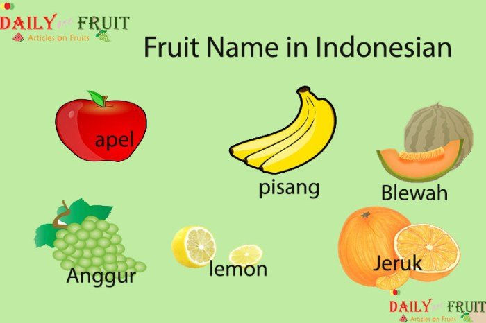 Nama nama buah dalam bahasa inggris dan bahasa indonesia