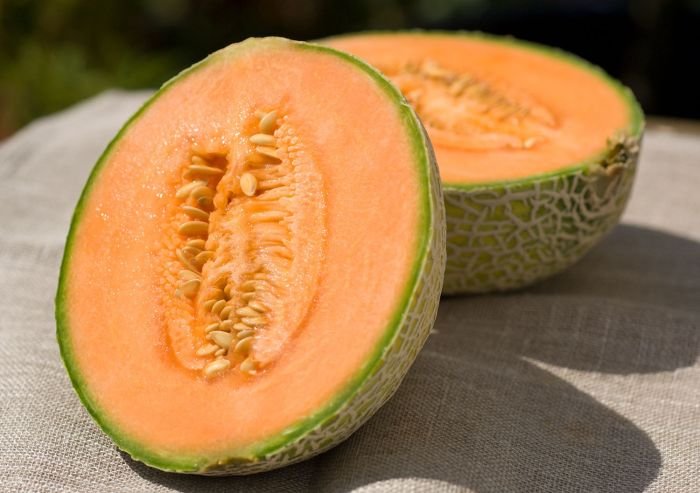 Bahasa inggris buah melon