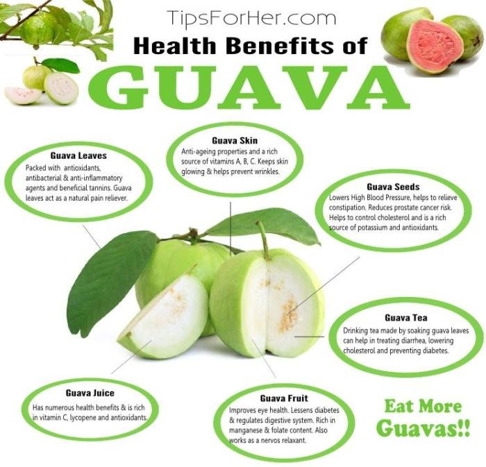 Guava