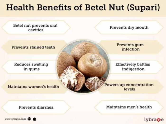 Manfaat buah pinang untuk kesehatan