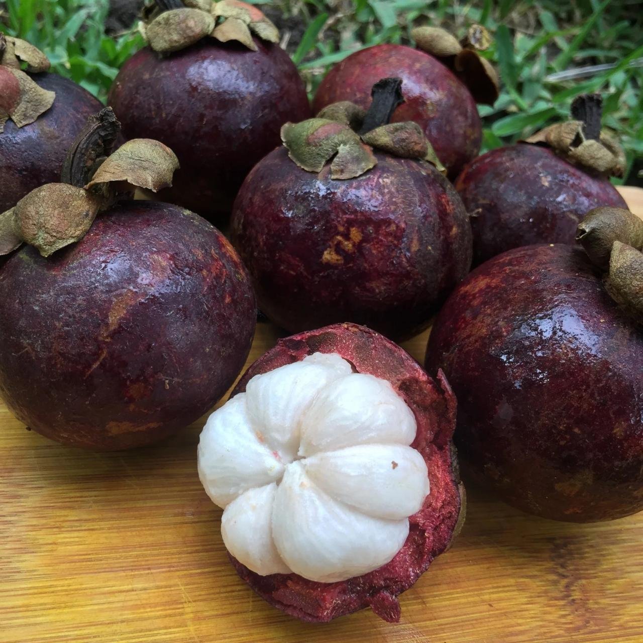 Mangosteen tea meyveler heals tenkasi tropikal 2048x remedies özellikleri rambutan interested