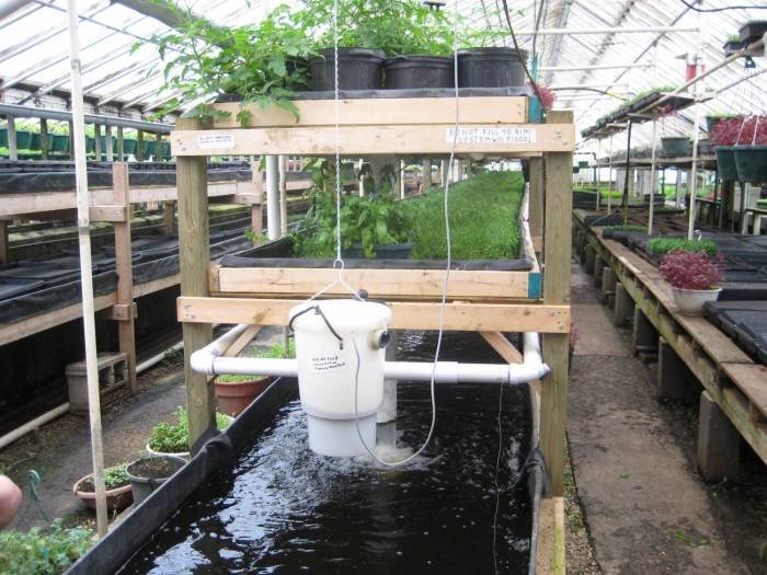 Aquaponic gardening aquaponics