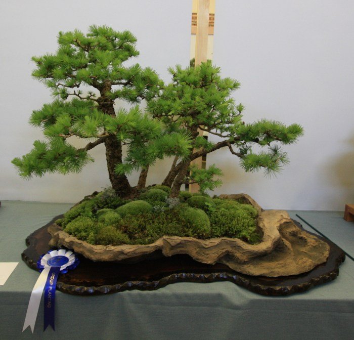 Bonsai group