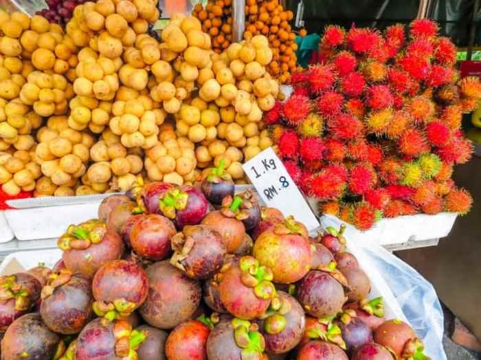 Malaysia fruits mangosteen paleo fruit holidify gorge help but