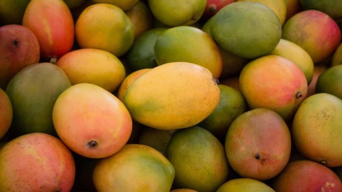 Mangoes fruits market weight