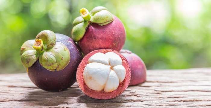 Mangosteen fruit benefits powerful health