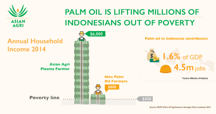 Oil palm benefits health choose board