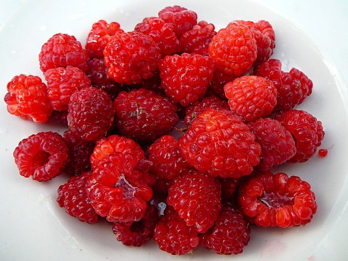 Bushes raspberries berries rubus belongs botanically rosaceae exploding genus themarthablog