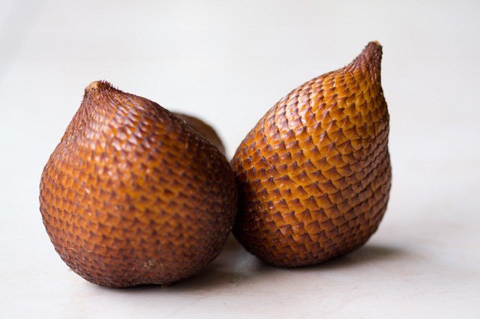 Gambar buah salak