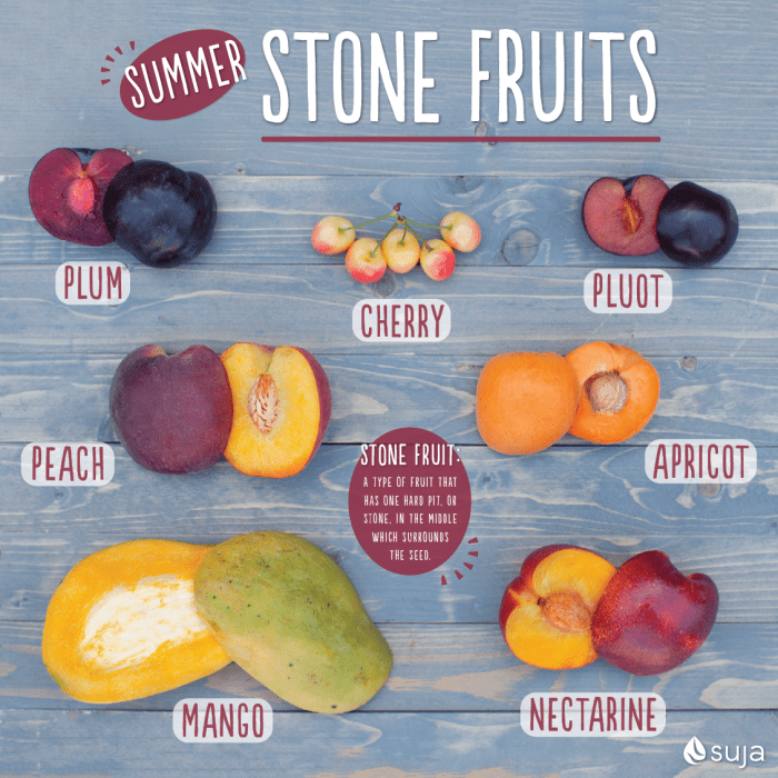 Fruit stone background types nectarine half common