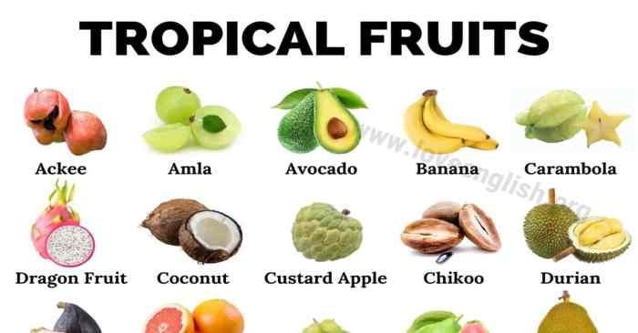 Subtropical fruits fruit trees tropical overly lots blessed temperatures australia round right year just people hot sub daleysfruit au shop