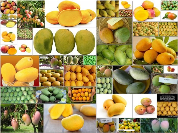 Mangoes fruits market weight