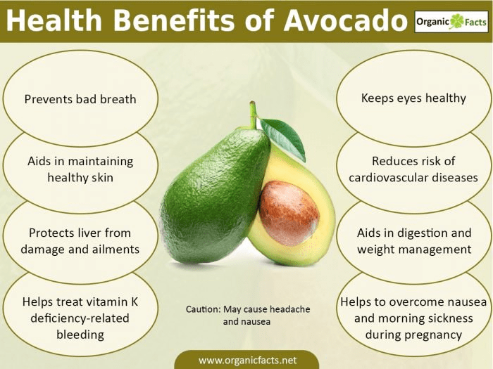 Avocado seed benefits seeds uses draxe article