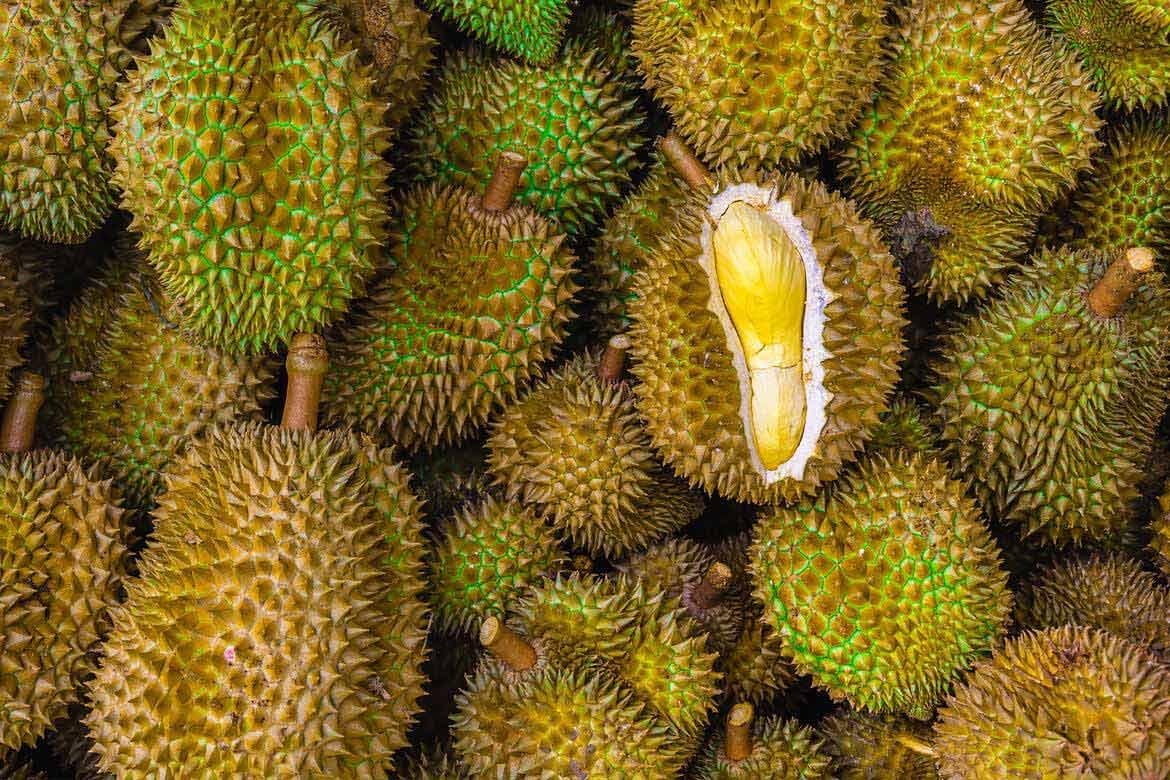 Manfaat buah durian untuk promil