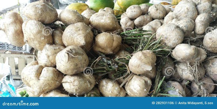 Manfaat buah bengkoang bagi ibu hamil