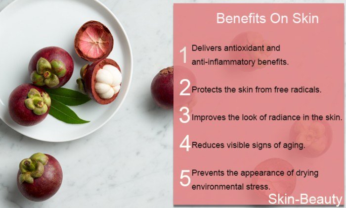 Health mangosteen benefits benefit facts fruit