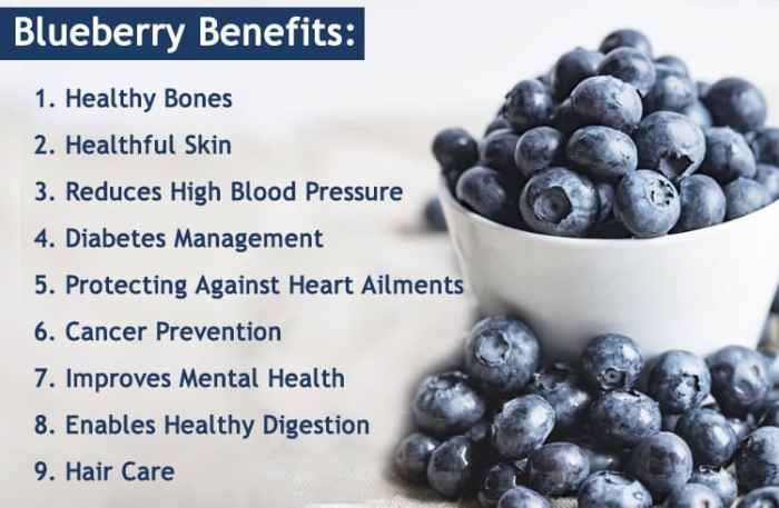 Blueberries babies benefits health