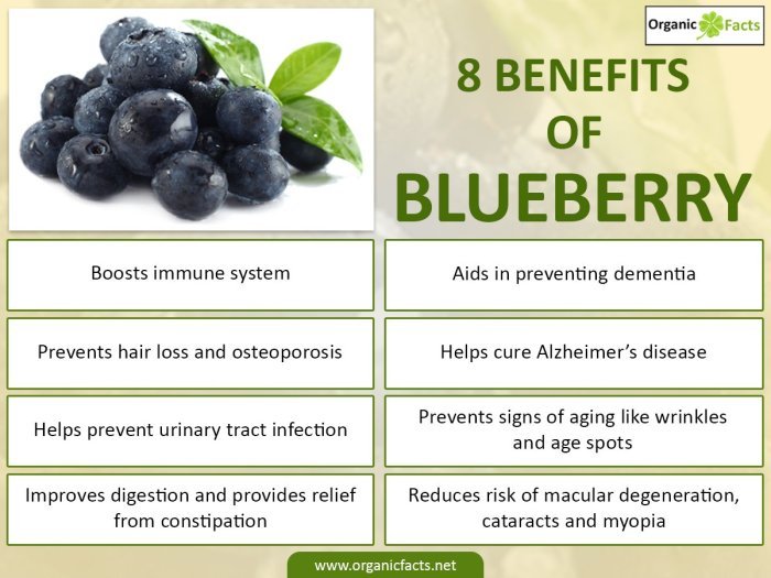 Blueberries