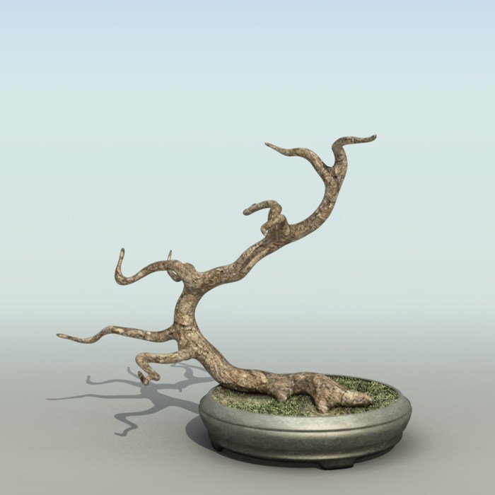 Bonsai4d