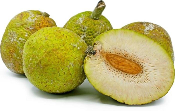 Breadfruit surprising health things great articlecube sirgo