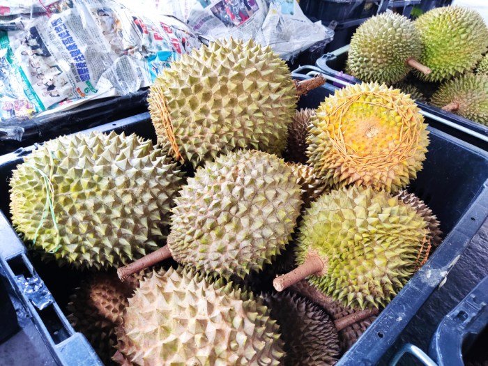 Erek erek buah durian