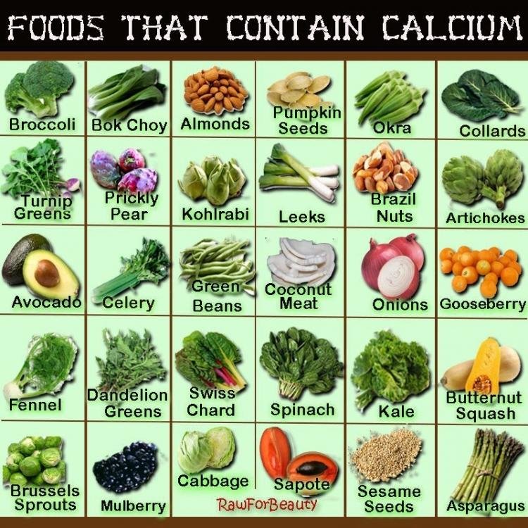 Calcium boerenkool vegetal alimentation