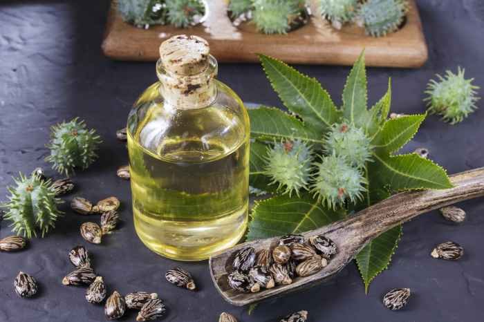 Castor oil benefits nutrafol