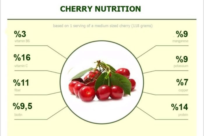 Vs cherry blueberries nutrition infographic blueberry depth comparison